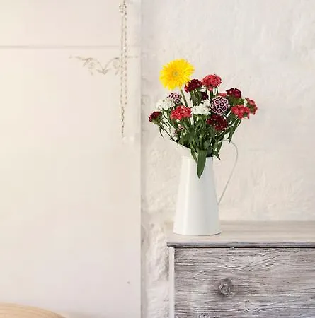 Appartement Alle Volte Salento Trepuzzi